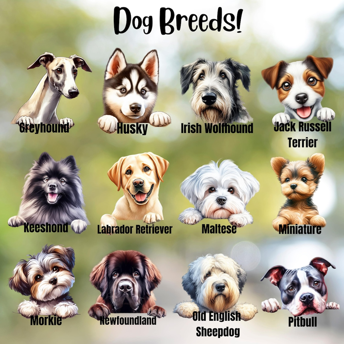 Dog Breed Personalized Sticker
