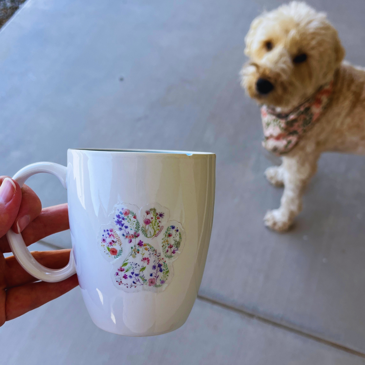 Transparent Floral Paw Print Sticker
