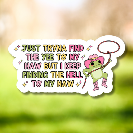 Tryna Find The Yee To My Haw Sticker